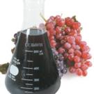 "Davis has reached the enviable, or perhaps unenviable, position of being the last word on wine," says Sacramento wine expert Darrell Corti.