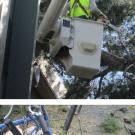 Photos (2): John McKnight takes his chain saw to the limbs that fell into a Tercero residence hall. A bicycle wheel, after being hit by a tree limb.
