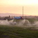 Sprinklers watering agricultural land with a truck in the background