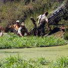 Workers remove duckweed from the arboretum.
