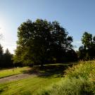 A bicyclist passes by Lake Spafford.