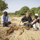 Peace Corps Volunteer in Senegal, West Africa, from 2009-2014