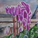 Image: Peter Shahrokh's "The Banister" (cropped)