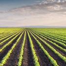 Collaboration with Bayer