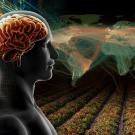 Big Ideas graphic shows brain, world map, row crop, digital equipment..