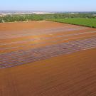 farm field with plastic coverings