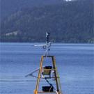 Photo: yellow buoy floating in Lake Tahoe with snowy peaks in background