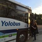Photo of a Yolobus.