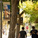 "Champion Aggies" campaign banners on lightpoles