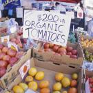 Organic produce stand
