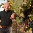 Man stands next to grapevine with dark grape clusters