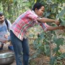 Angelos Deltsidis of UC Davis and farmer Eang Chakriya near Ampil Peam, Cambodia.