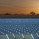 Photo illustration: Solar farm superimposed on UC Davis property, looking east into the sunrise