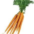 Photo: bunch of carrots