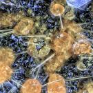 Close-up shot of glittery mineral