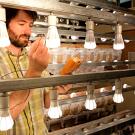 Researcher tests light bulbs