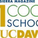 Graphic: Cool School promo