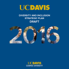 The cover for the Diversity and Inclusion Strategic Plan draft.