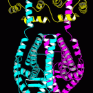 Images of curly ribbons in different colors