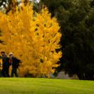 fall colors and students