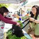 Vendor and customer at a farmers market.