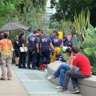 Firefighters surround victim mof tree branch at Student Community Center.
