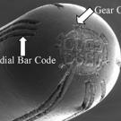 This is an actual photo of three engraved codes on a firing pin. The letter-number code on the head of the pin is not labeled.
