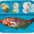 Photo: fish and garbage on tray