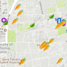 Screenshot of Food Access Map