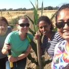 Four people with shovels in field