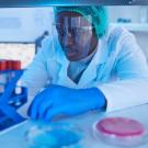 Scientist looks at test tubes