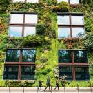 Plants grow on sustainable building