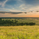 Grasslands under the sun