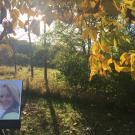 Photo: Fall scenary with photo of Sharon Gray, on easel, in foreground.