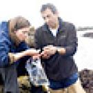 Woman and man on rocky seashore examining something