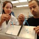 Kara Schmelzer and Aaron Clements demonstrate the properties of a new paint. Through a new progam in business development, they are teaming up to bring a more durable ship paint to market.  