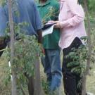 Starry Sprenkle and colleagues measure positions and heights of 2&Acirc;&frac12;-year-old trees on a steep slope.
