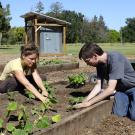 Photo: Students working in demonstration garden.