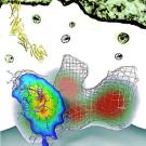 Graphic: colorful blobs, one with mesh, and the bottom of a mass at the top