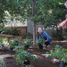 Photo: Woman crouching and planting with standing woman holding out her hand.