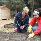 Photo: Students plant okra in a planting bed.