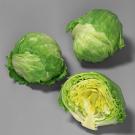 Two full heads of iceberg lettuce and one cut in half