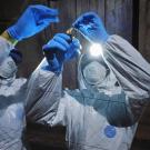 Scientists with bat in West Africa