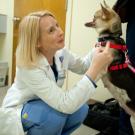 Woman crouching and pointing to a dog without a top jaw