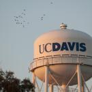 "UC Davis" main water tower