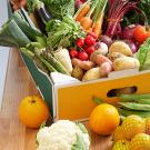 Photo: A box full of produce including leeks, basil, radishes, oranges, cauliflower