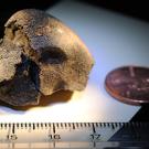 By studying fragments of the meteorite, Professor Qing-Zhu Yin hopes to learn more about exactly how and when the Earth, Mars and other planets formed. 