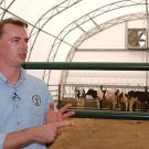 Photo: Frank Mitloehner sitting at the computer