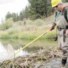 Peter Moyle at the edge of a stream with a fish net in hand