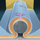 Graphic: of a bio-nanocircuit